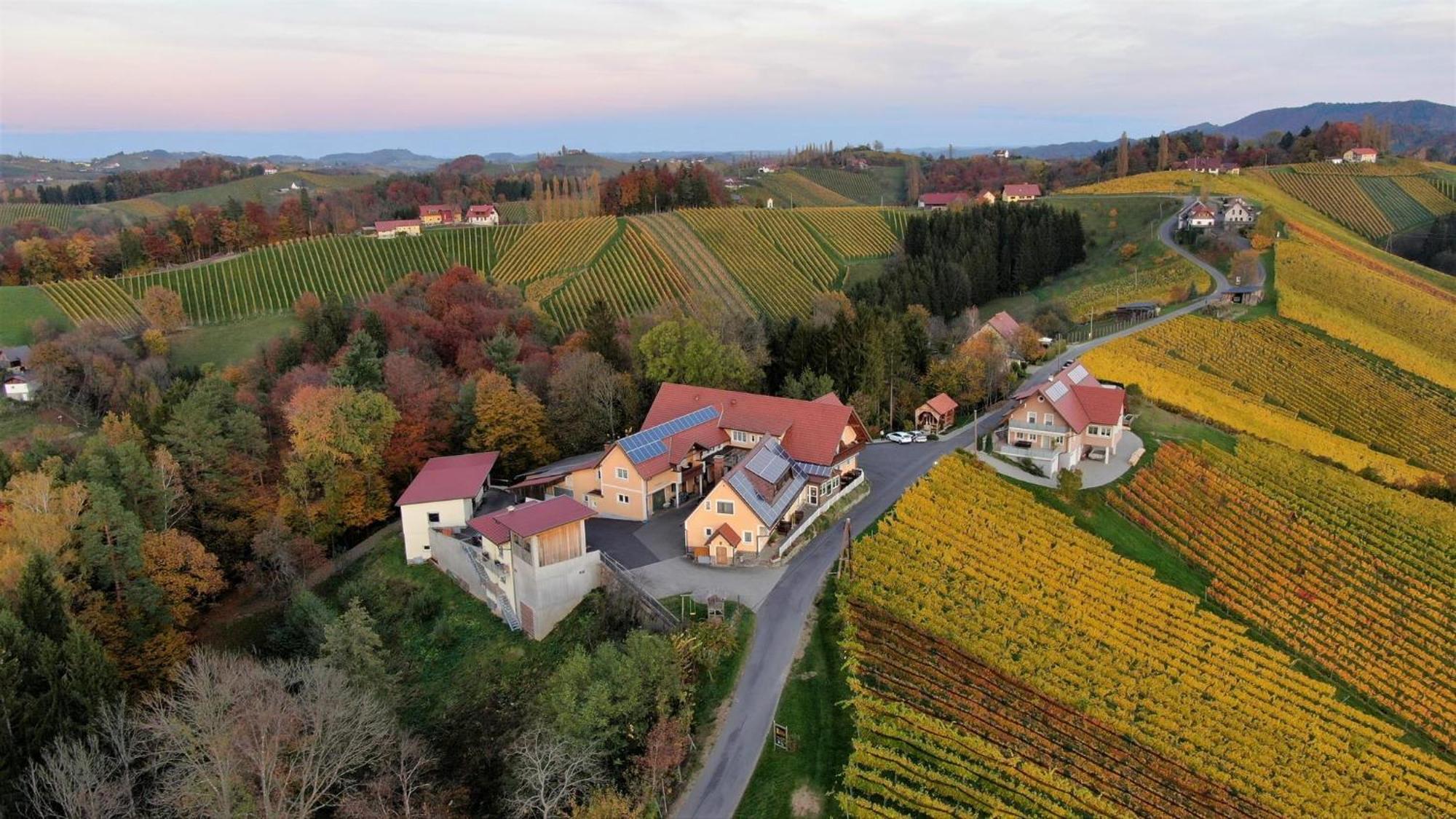 Muster Bernhard Und Gertrud Vlg. Trautenhof Bed & Breakfast Leutschach Exterior photo