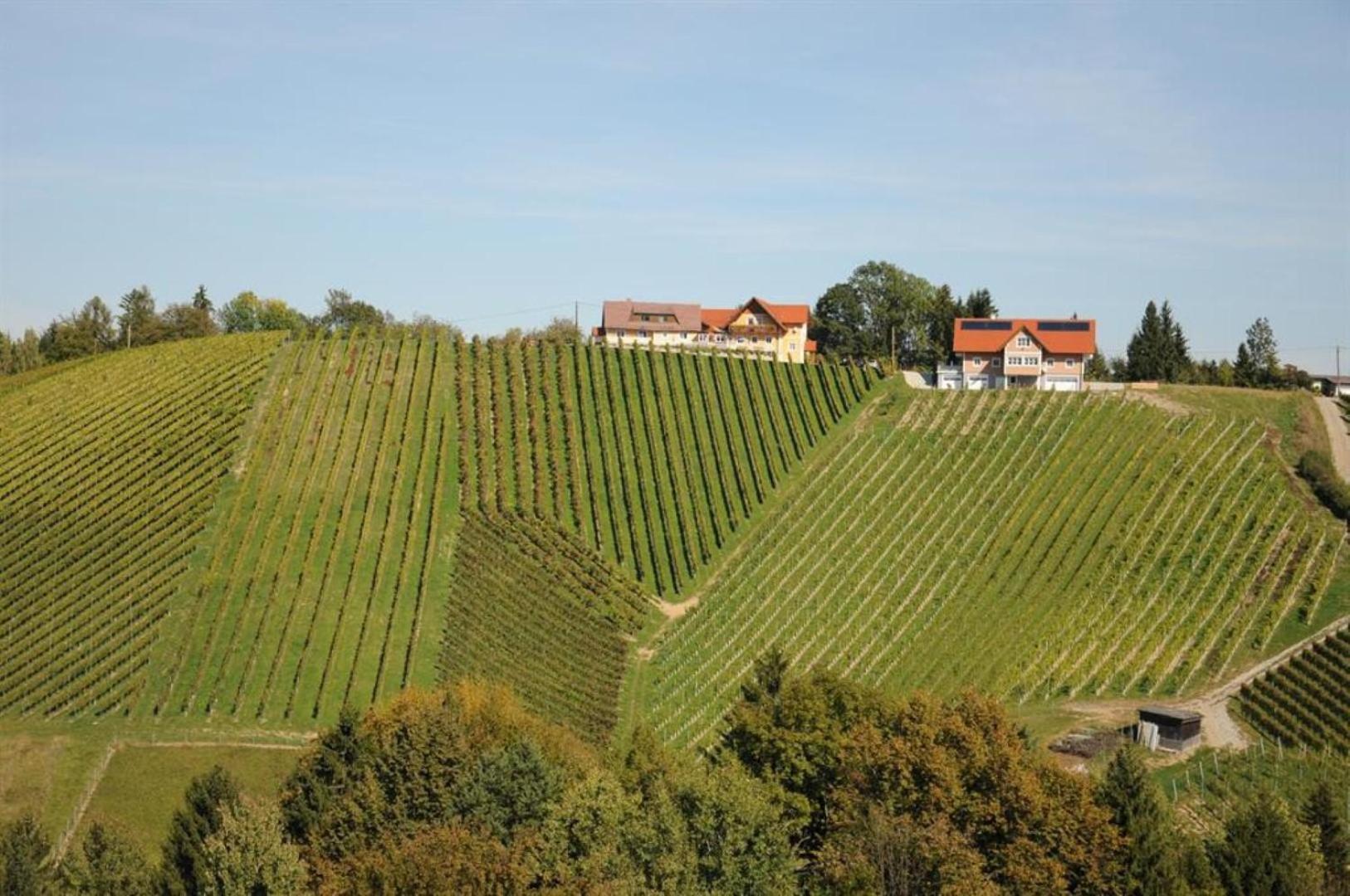 Muster Bernhard Und Gertrud Vlg. Trautenhof Bed & Breakfast Leutschach Exterior photo