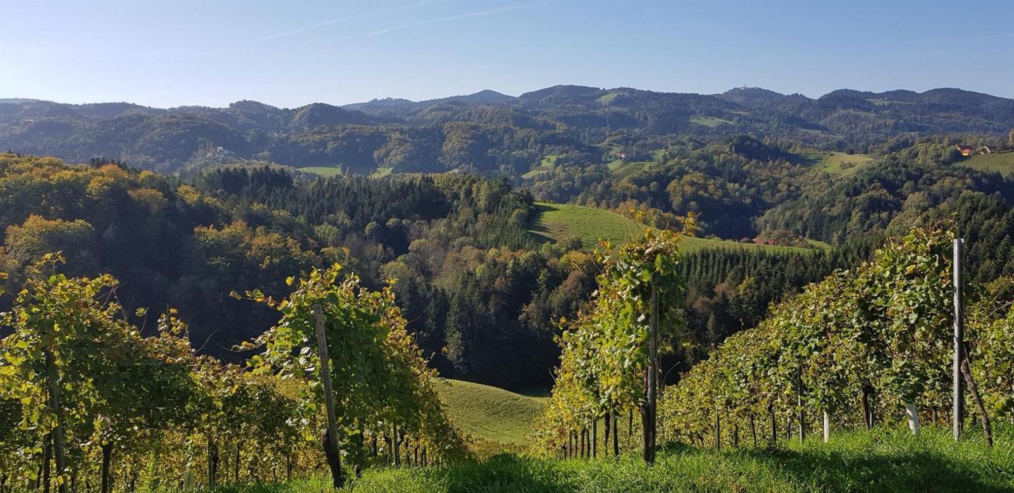 Muster Bernhard Und Gertrud Vlg. Trautenhof Bed & Breakfast Leutschach Exterior photo